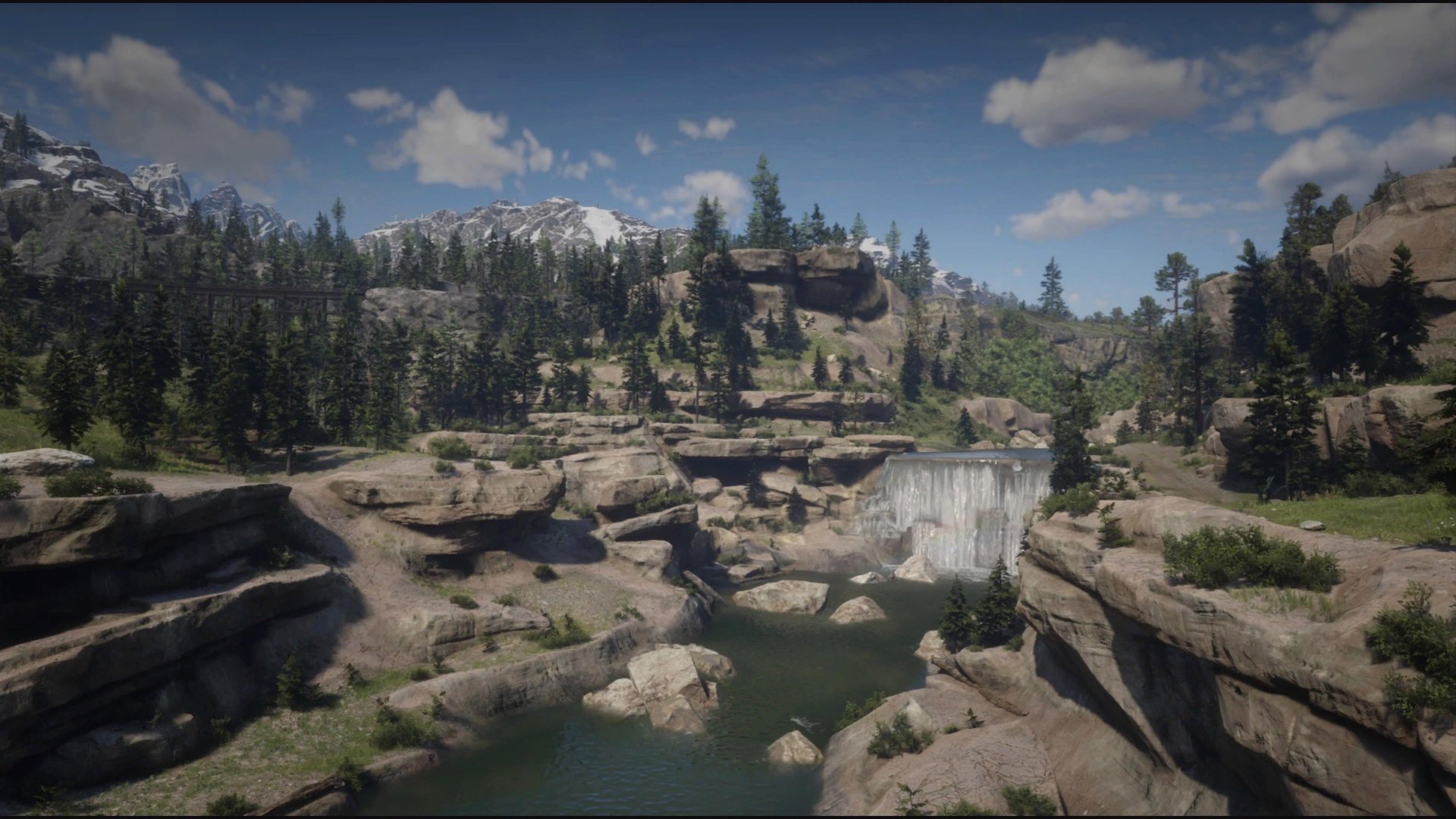 F1 2024 完整版 截图6