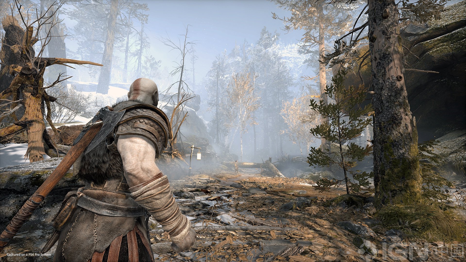 F1 2024 完整版 截图7